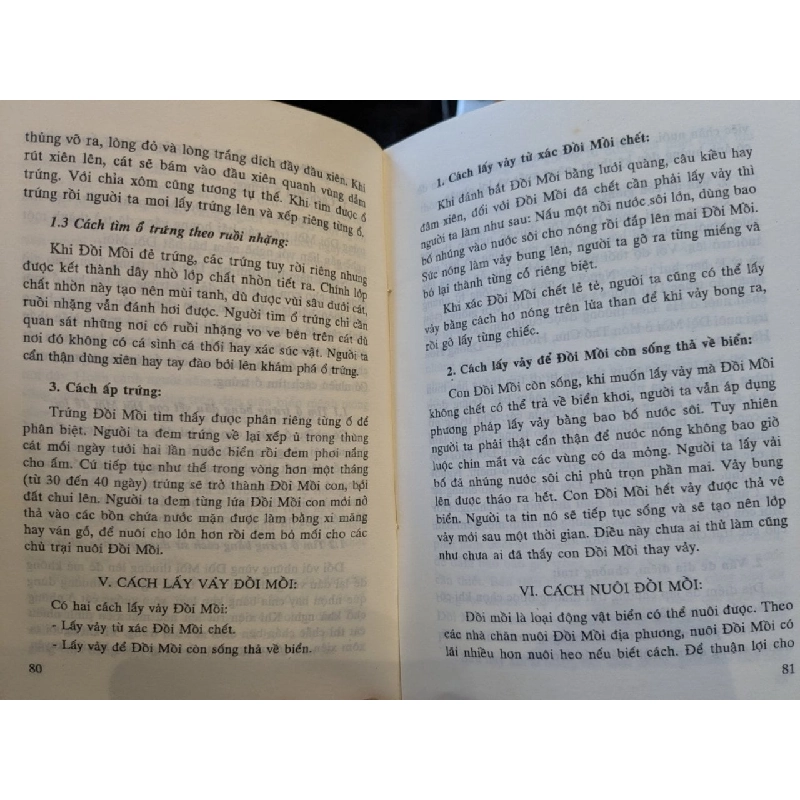 Nghề đồi mồi Hà Tiên - Chu Lang Trần Phinh Chu 1006443