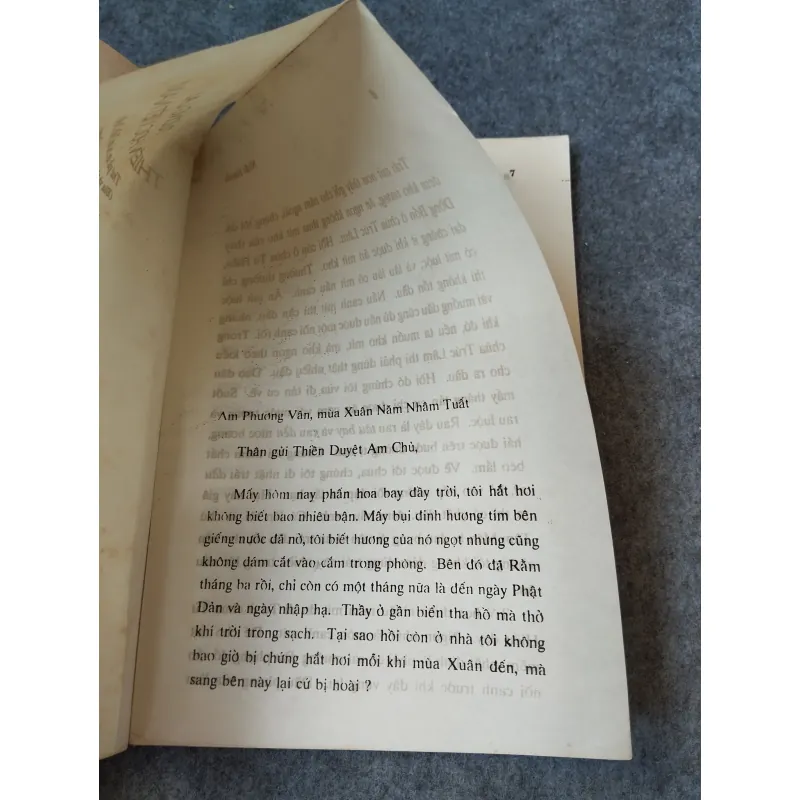 TƯƠNG LAI THIỀN HỌC VIỆT NAM 718962