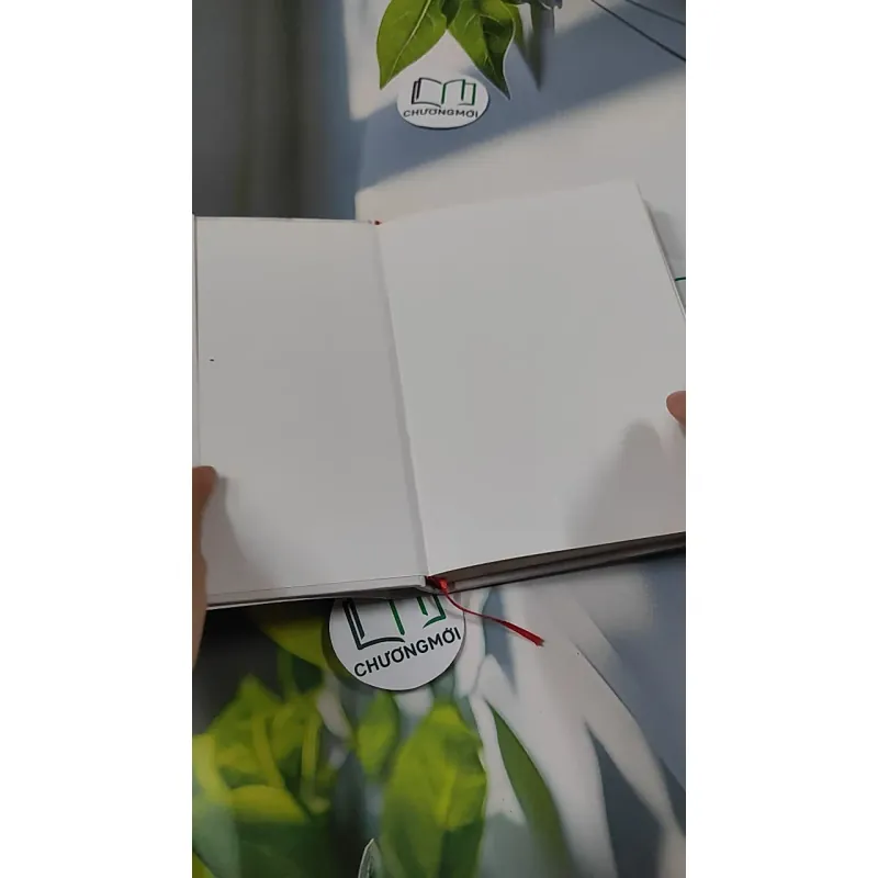 [MIỄN PHÍ BỌC SÁCH] Hành Trình Khắc Tên Mình Lên Đá - Diệu Thu 749593