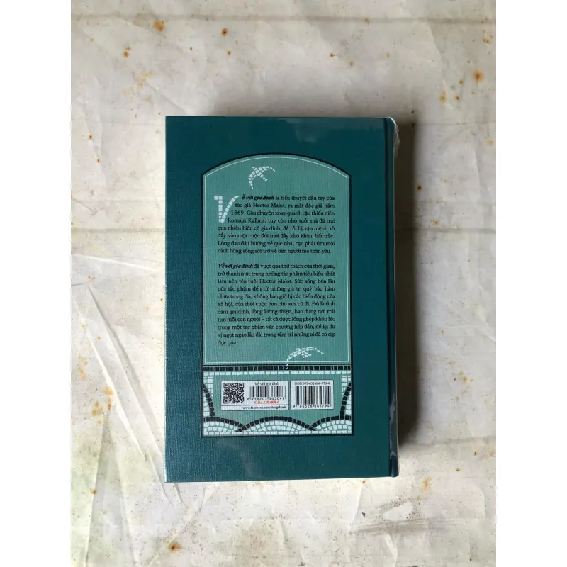 Về Với Gia Đình - Hector Malot 733701