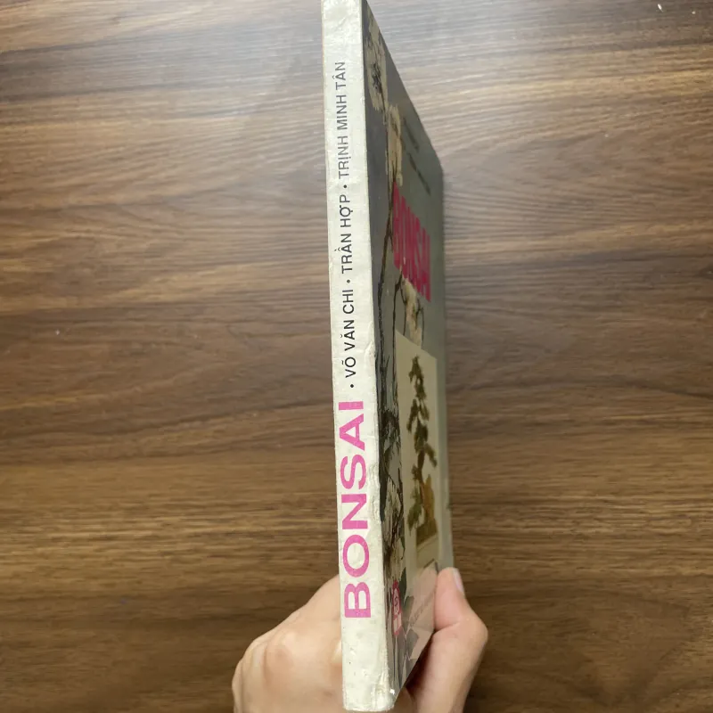 Bonsai 🌿🌿 961565