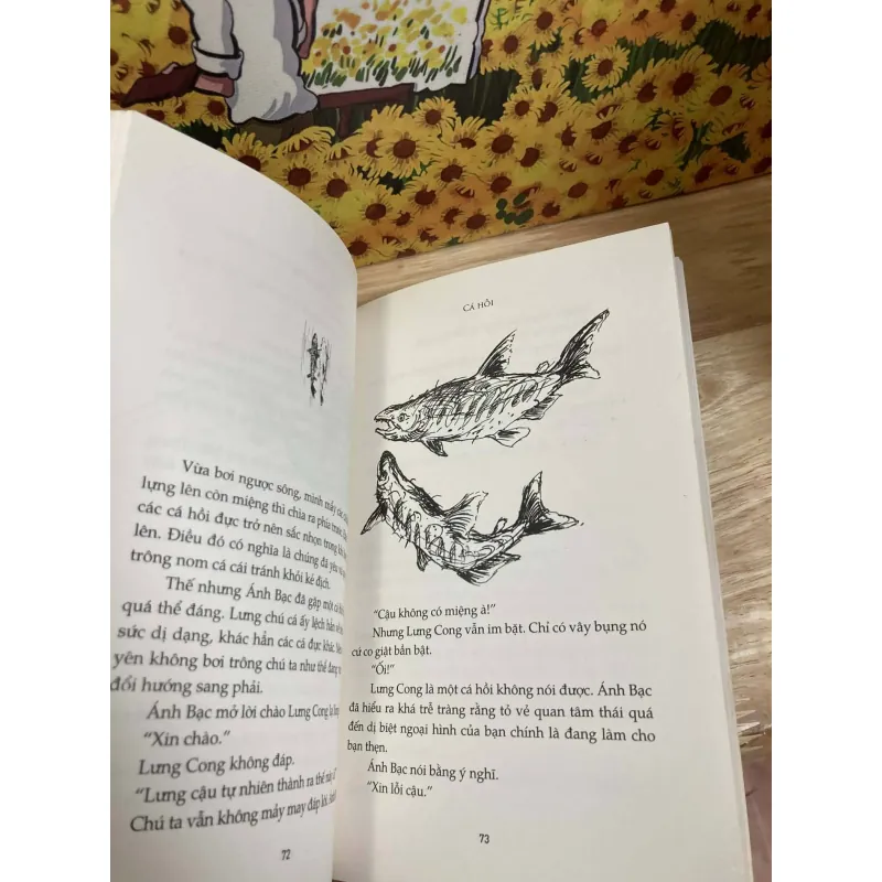 Cá Hồi - Ahn Do-hyun 1010699