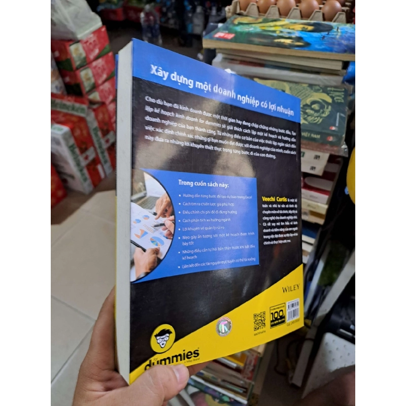 Tạo Lập Kế Hoạch Kinh Doanh For Dummies - Veechi Curtis - 2022 mớ 90% - KINH TẾ - TÀI CHÍNH - CHỨNG KHOÁN - HMT3012 924366