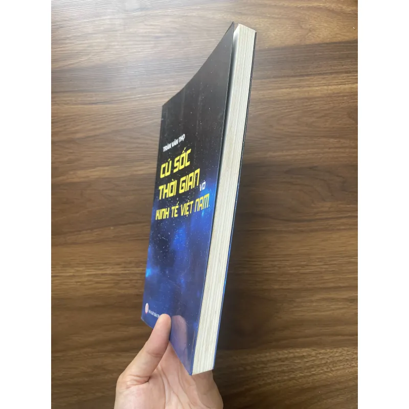 Cú sốc thời gian và Kinh tế Việt Nam - Trần Văn Thọ 934721