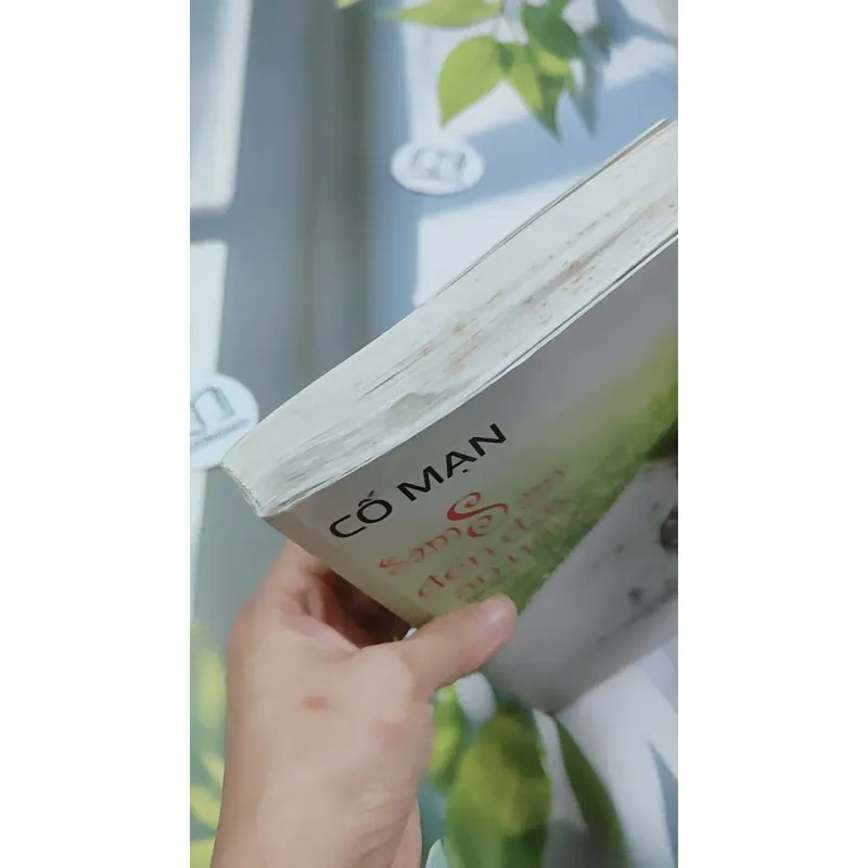 Sam Sam Đến Đây Ăn Nào - Cố Mạn 744699