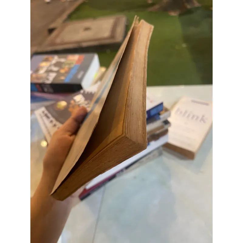 TỪ ĐIỂN THÀNH NGỮ VÀ TỤC NGỮ VIỆT NAM - NGUYỄN LÂN  1010399