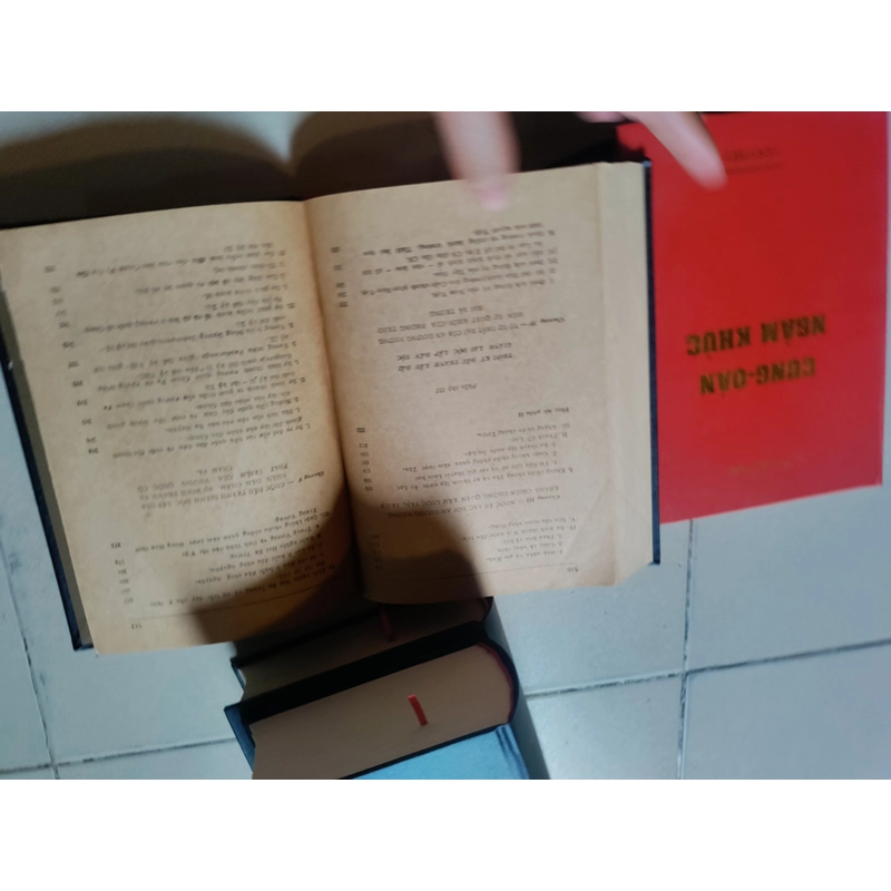 Lịch sử Việt Nam 518568