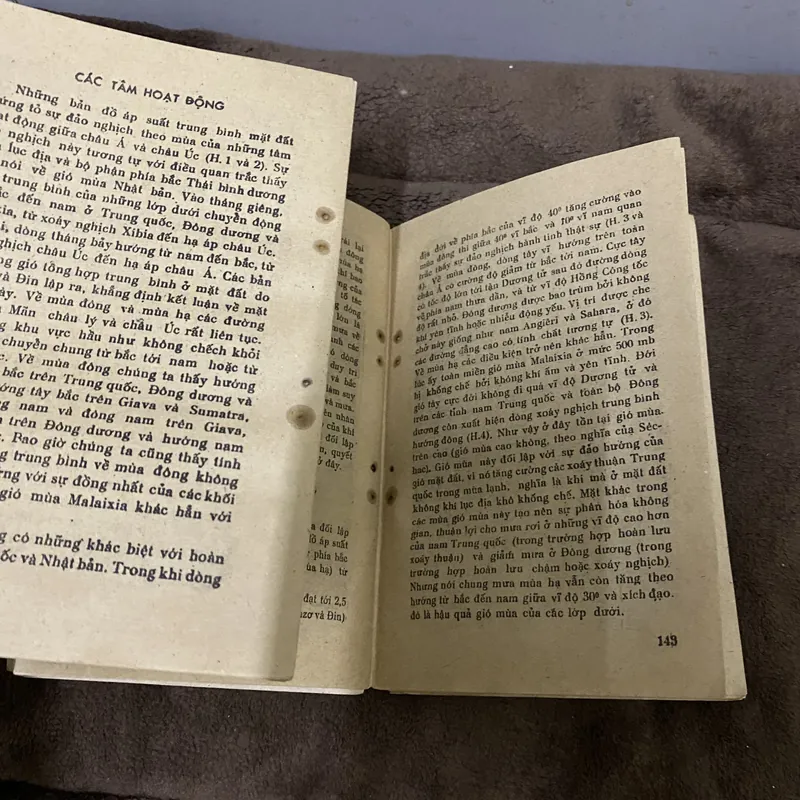 Gió mùa Gió mùa 628435