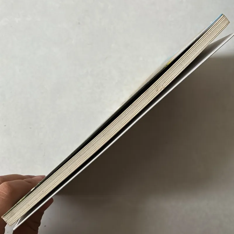 Nắng mưa lưng đèo - Hồ Sĩ Bình 756736