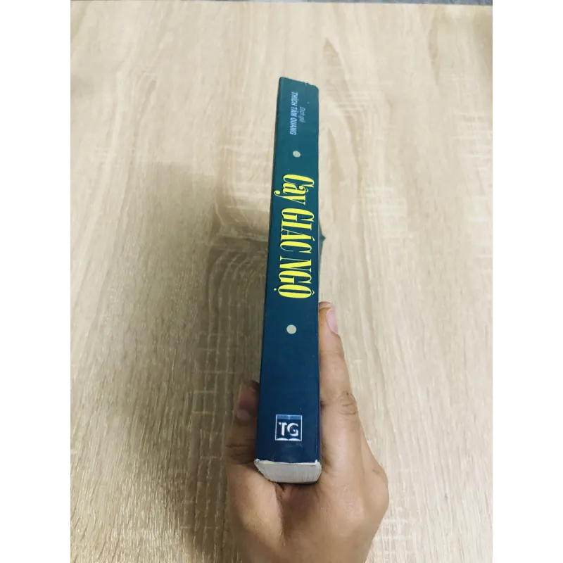 CÂY GIÁC NGỘ  957197