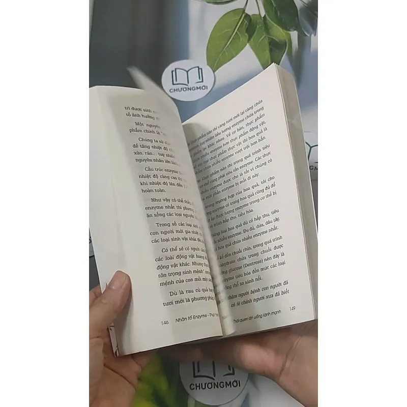 Nhân tố Enzyme - Thực hành 688454