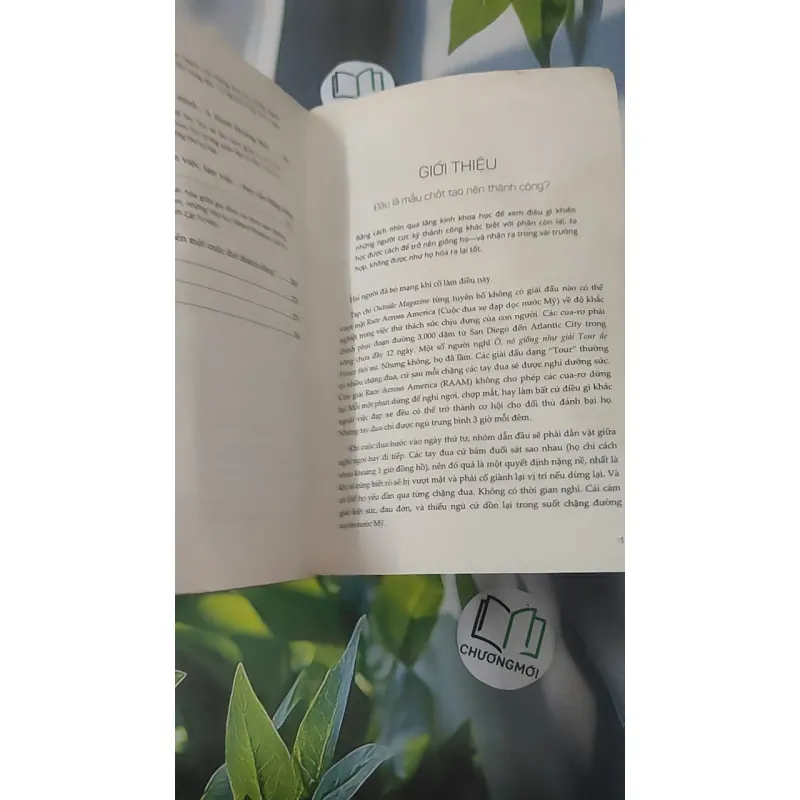 Chó Sủa Nhầm Cây - Eric Barker 1018946