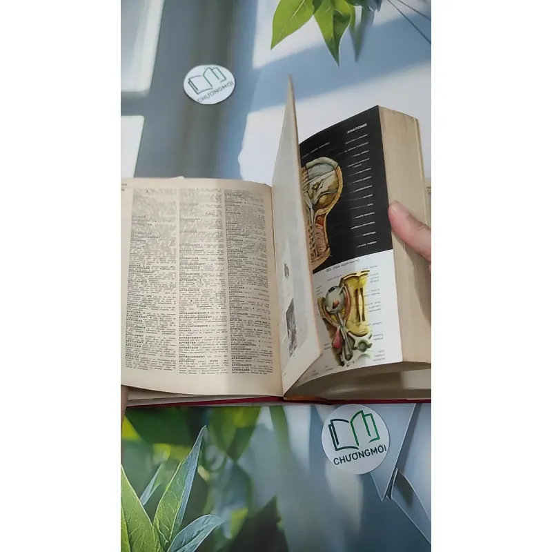 [MIỄN PHÍ BỌC SÁCH] [XƯA] Petit Larousse Illustré 1975 (1975) 990436