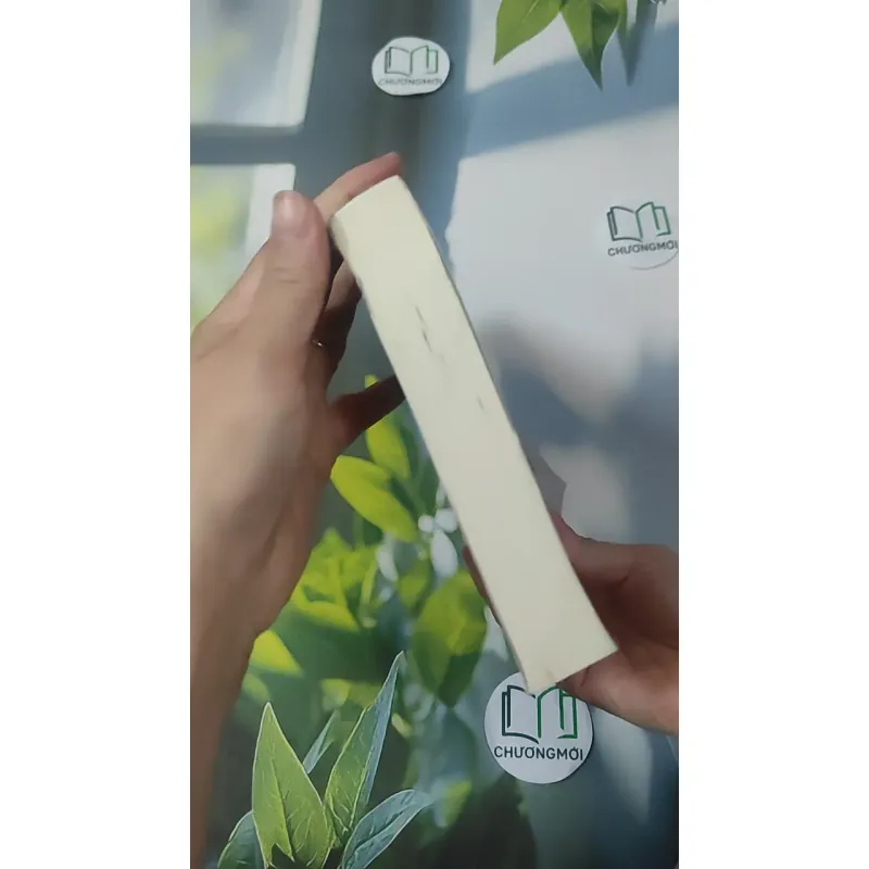 [MIỄN PHÍ BỌC SÁCH] Doanh Nhân Việt Nam Trong Lịch Sử - Trần Thuận 1018920