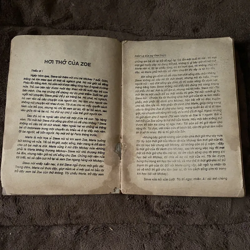 Phép lạ của sự tỉnh thức, Thích Nhất Hạnh (Phật giáo xưa cũ) 625960