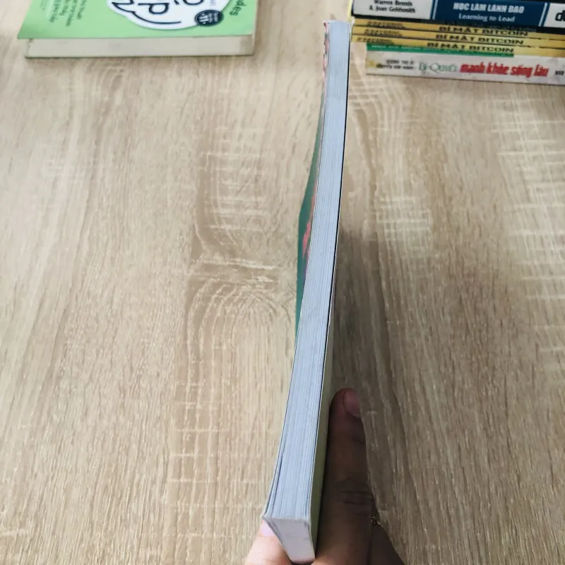 THĂNG LONG VĂN VIỆT 1022389