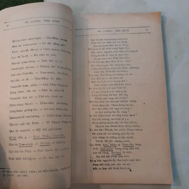VÔ LƯỢNG THỌ KINH - ĐOÀN TRUNG CÒN, HUYỀN MẶC ĐẠO NHÂN 759231