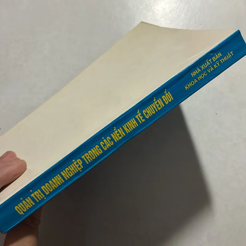 Quản trị doanh nghiệp trong các nền kinh tế chuyển đổi 726996