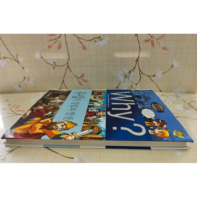 유럽의 성립과 발전 (Sự hình thành và phát triển của Châu Âu) 993467