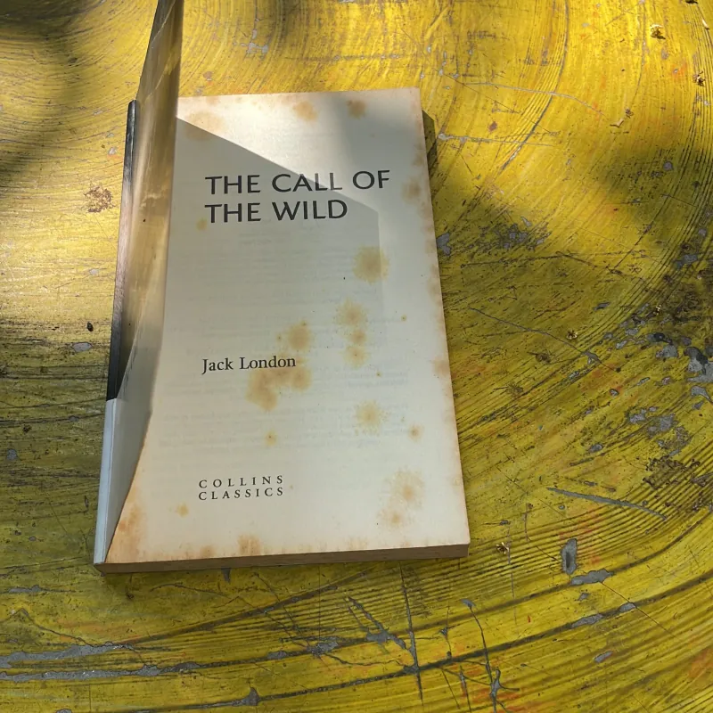 THE CALL OF THE WILD - JACK LONDON 763413
