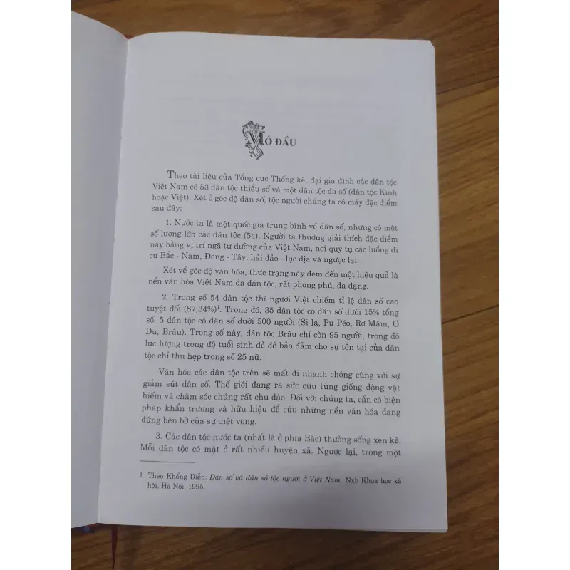 Sách: Văn hoá các dân tộc thiểu số - những giá trị đặc sắc - TG: Phan Đăng Nhật 931653