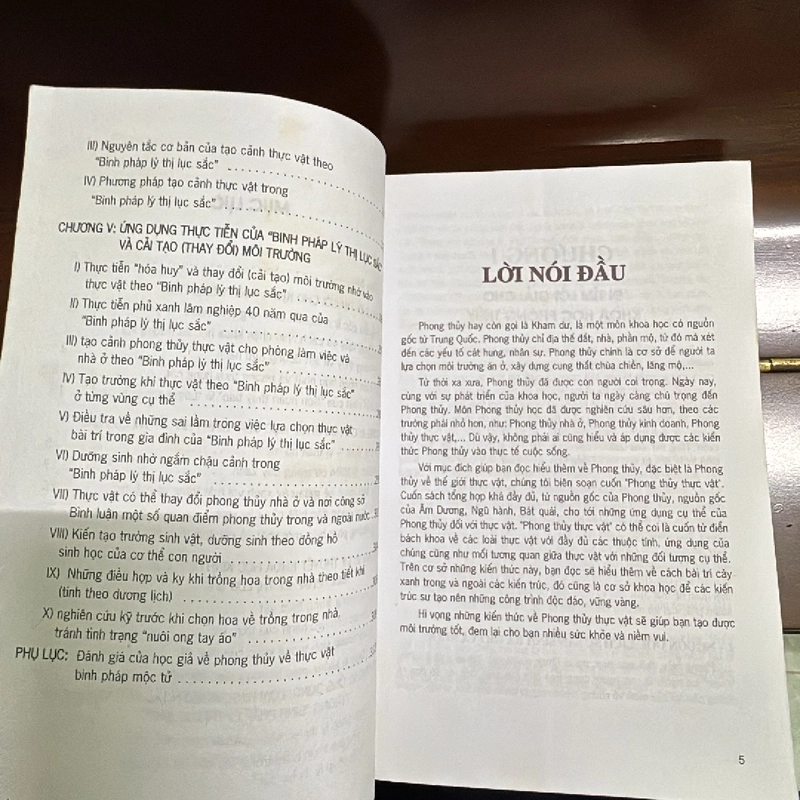 Phong thủy thực vật  456151