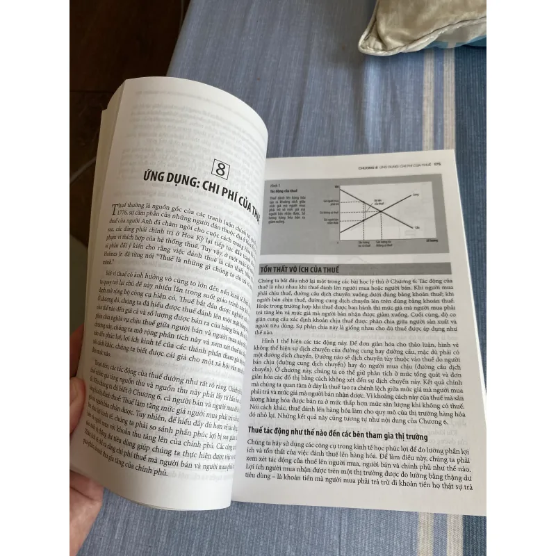 Sách Kinh tế Vĩ mô Macro Mankiw 753969