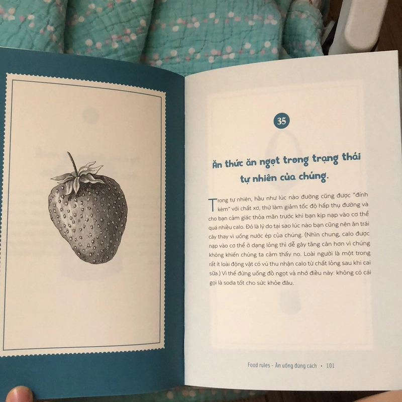 Food Rules Ăn uống đúng cách 442654