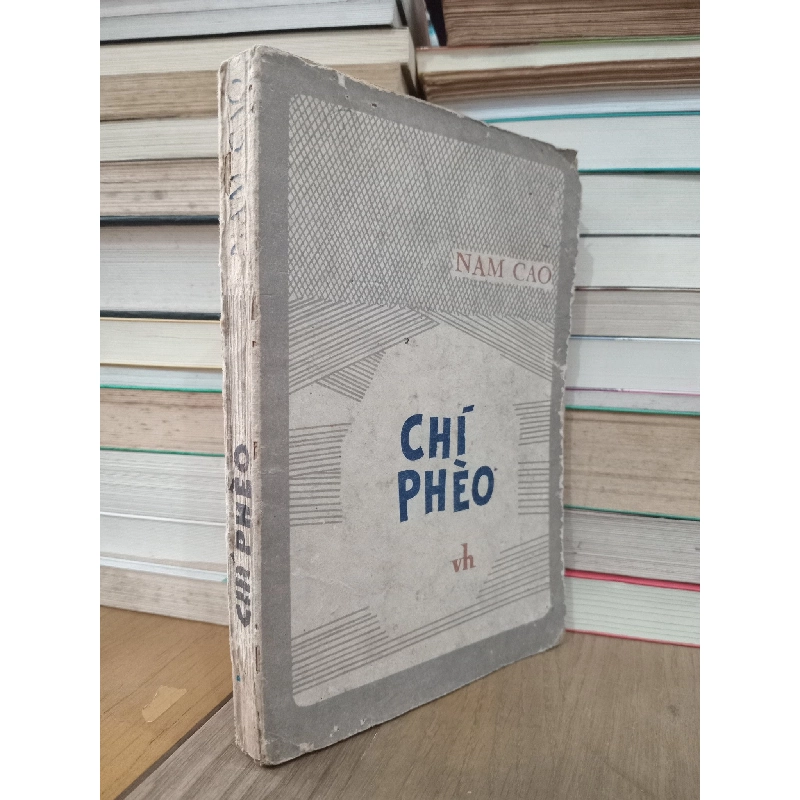 CHÍ PHÈO - NAM CAO 131318