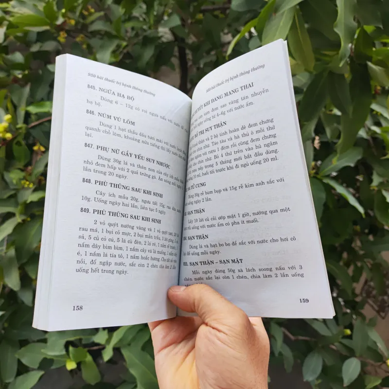 950 Bài Thuốc Trị Bệnh Thường Gặp - Nguyễn Phong Sinh  753792