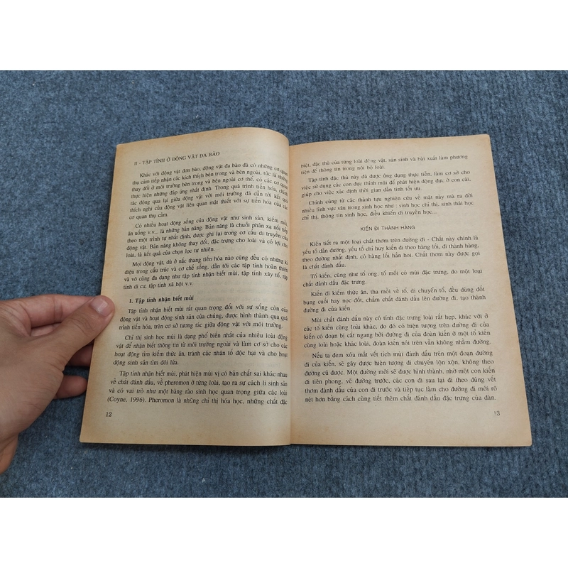 DI TRUYỀN HỌC TẬP TÍNH 495382