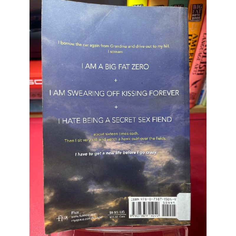 The sky always hears me mới 90% Kirstin CronnMills HPB1905 SÁCH NGOẠI VĂN 459540