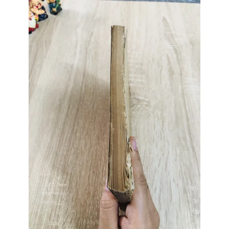 SẮT THÉP (THẾ GIỚI VÀ VIỆT NAM)  971718