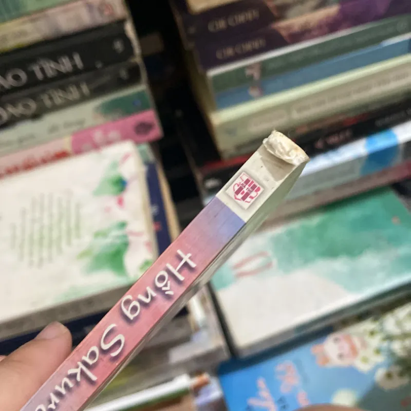 Đài các tiểu thư - Hồng Sakura 970182