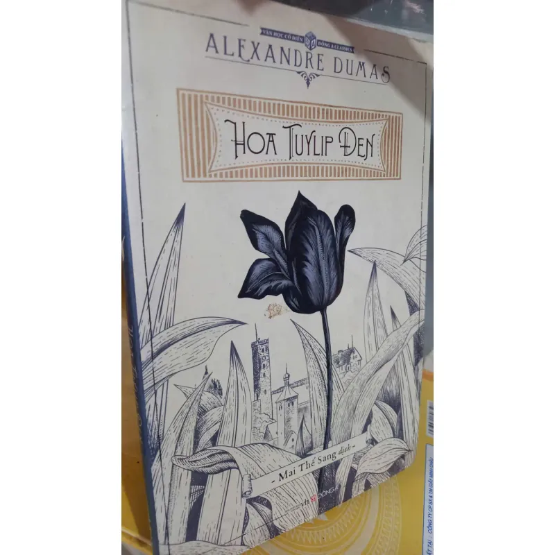 hoa tuylip đen 999131