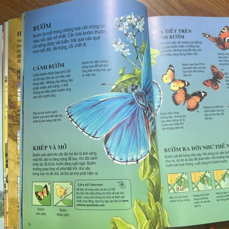 Sách bách khoa tri thức dành cho trẻ em-còn rất mới 778884