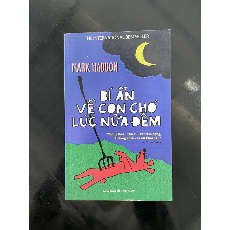 Bí ẩn về con chó 1023695