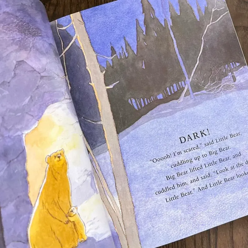 Can't You Sleep, Little Bear? 974864