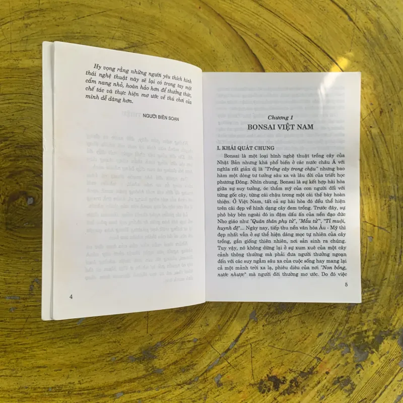 KIỆT TÁC BONSAI VIỆT NAM VÀ THẾ GIỚI- ĐỨC THÀNH biên soạn 1022452