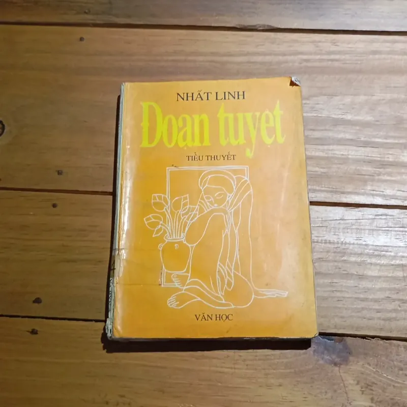 Tiểu thuyết "Đoạn tuyệt" - Nhất Linh 568285