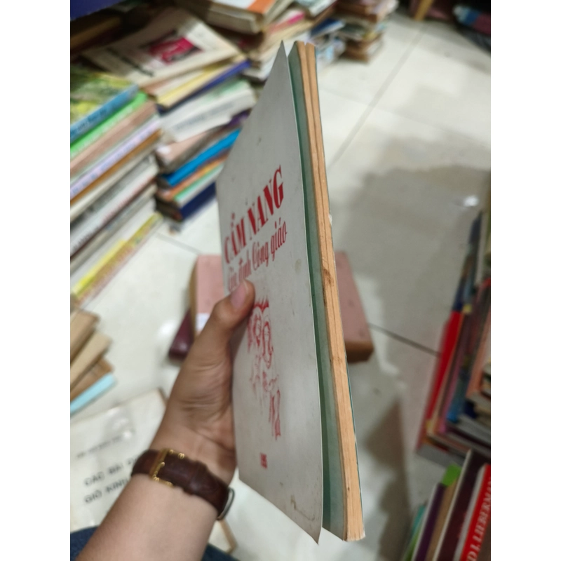 Cẩm nang gia đình công giáo 🌱 463385