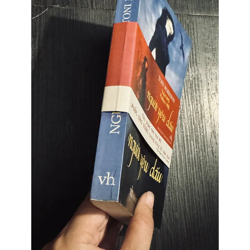 Người yêu dấu 595721