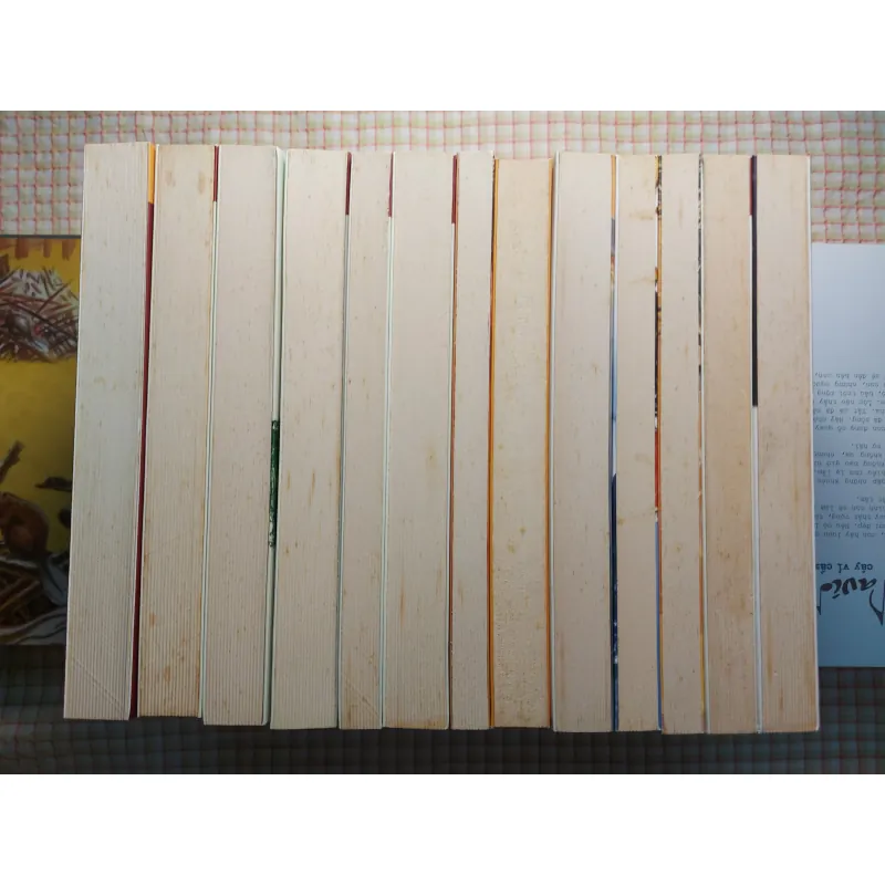 COMBO 32 CUỐN TỦ SÁCH KẸP HẠT DẺ 760554