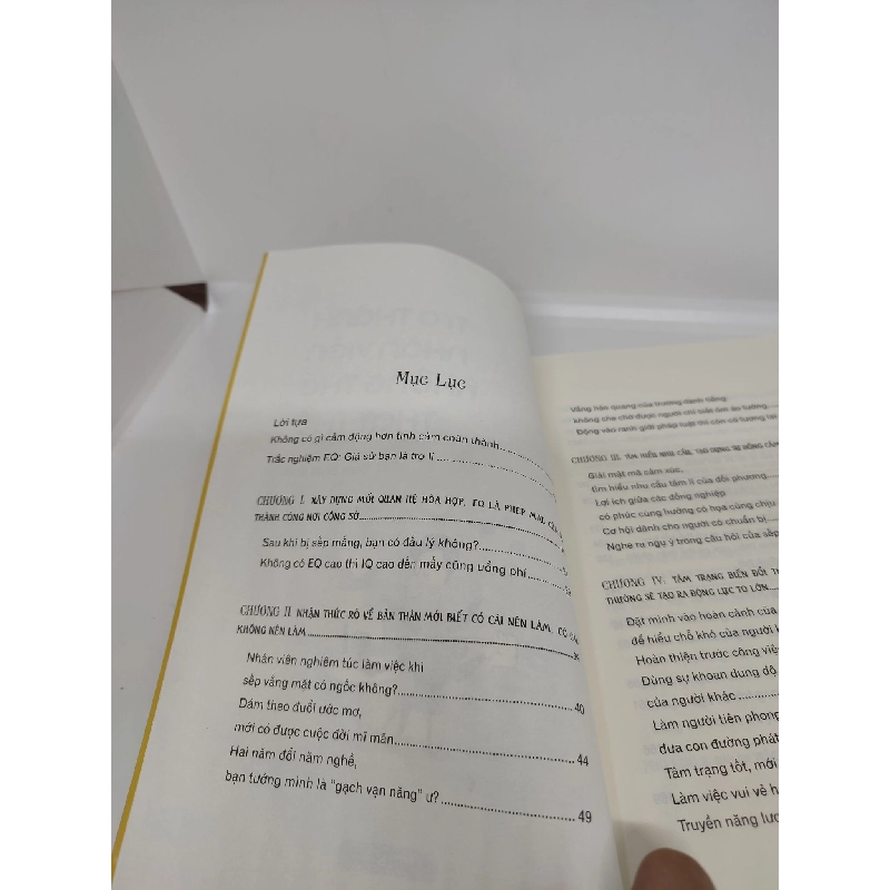 Trở thành nhân viên không thể thay thế 2019 Đàm Nhất Bình mới 90% HCM0211 912645