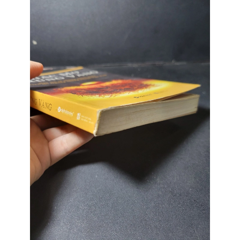 Giấc mơ trứng vàng mới 80% ố bẩn góc 2010 HCM1001 Ngô Sơn Dương MARKETING KINH DOANH 918311