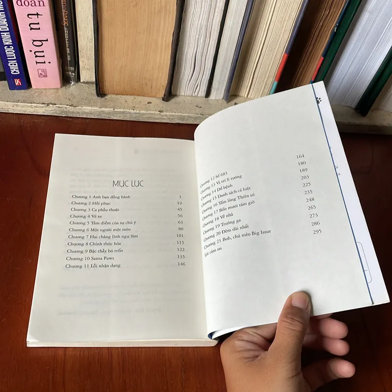 II Tự Truyện: Bob, Chú Mèo Đường Phố - JAMES BOWEN - 2017 569287