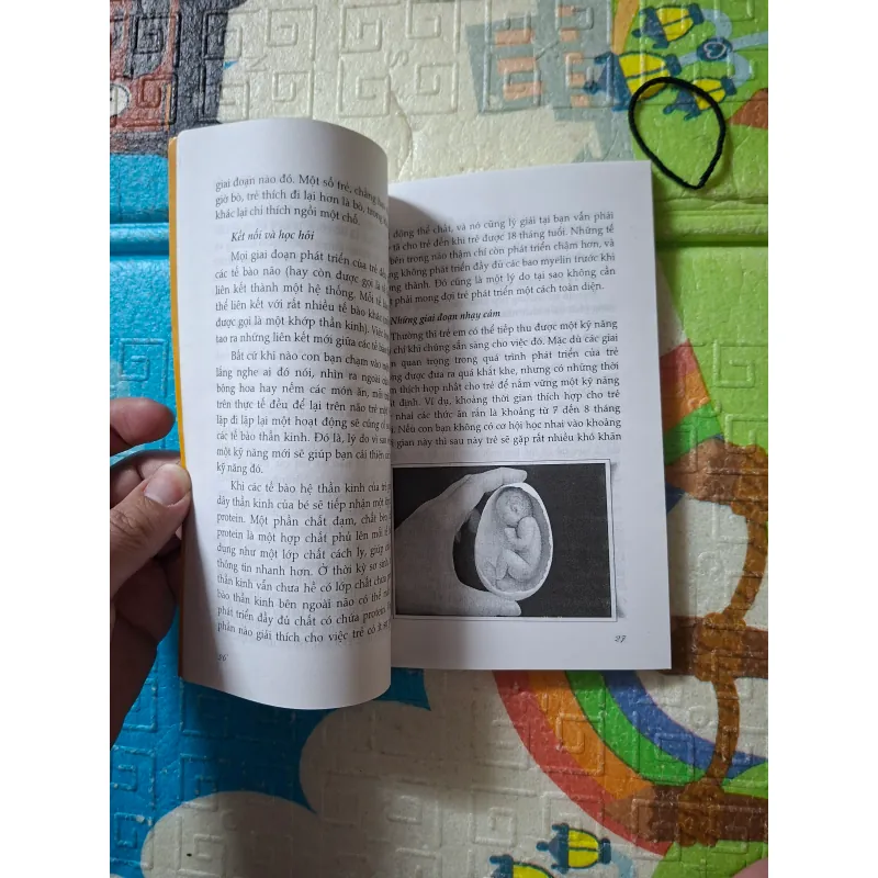 Sổ tay dành cho cha mẹ nuôi con thành tài 975664