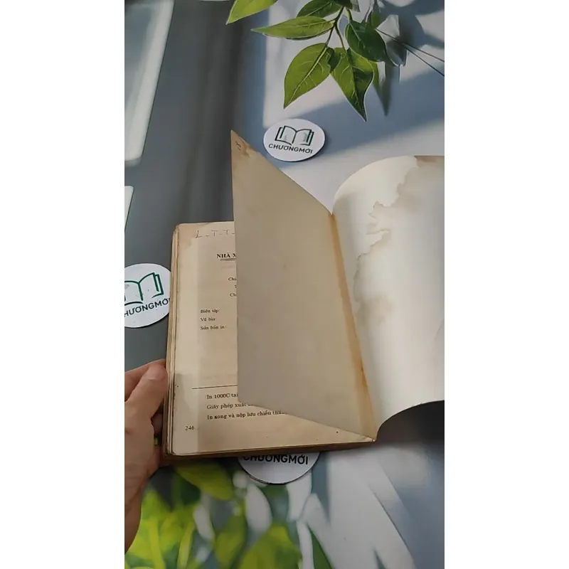 Điều Chỉnh Những Bất Hòa Trong Quan Hệ Vợ Chồng - GS. Đặng Phương Kiệt 727256