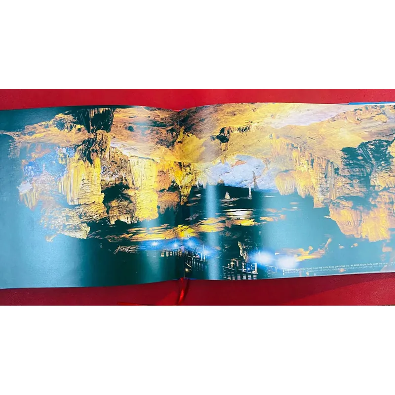 Việt Nam Quê Hương Tôi 591002