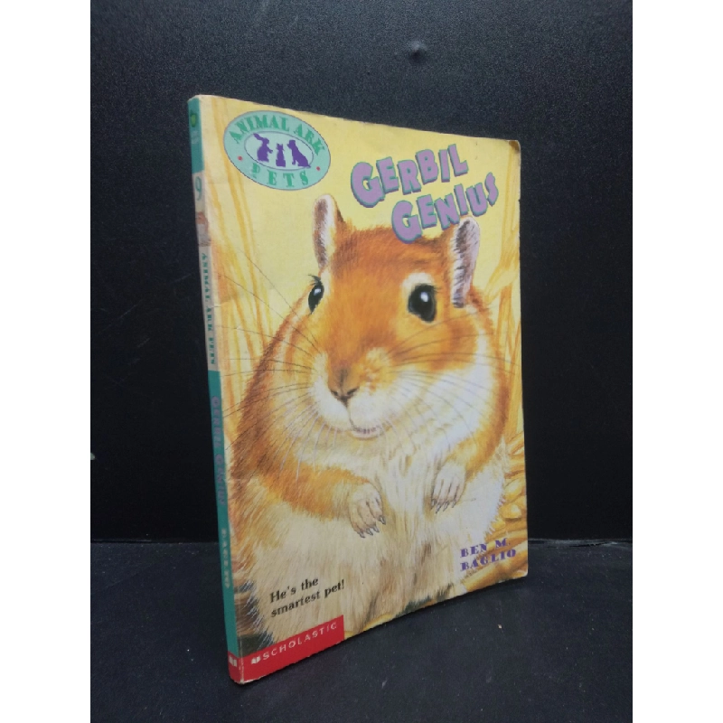 Gerbil Genius 2000 mới 70% ố vàng HCM2902 ngoại văn 340336